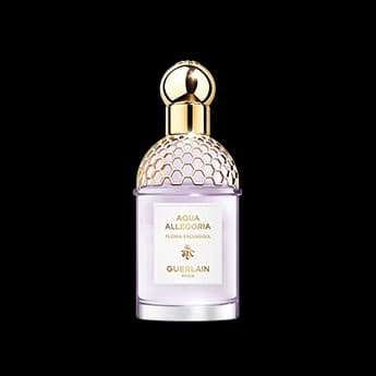 אקווה אלגוריה פלורה סלווג'יה א.ד.ט