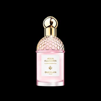 אקווה אלגוריה פלורה צ'ריסיה א.ד.ט