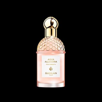 אקווה אלגוריה פרה גרניטה א.ד.ט