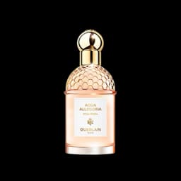 אקווה אלגוריה רוסה רוסה א.ד.ט