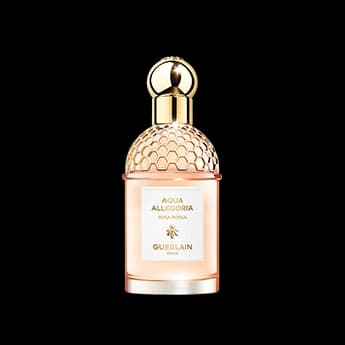 אקווה אלגוריה רוסה רוסה א.ד.ט