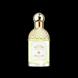 אקווה אלגוריה נרוליה וטיבר א.ד.ט