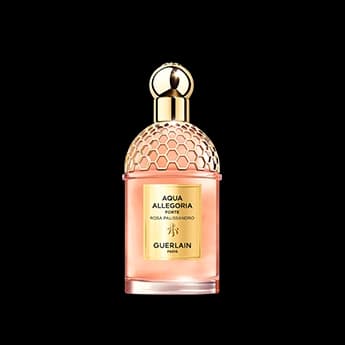 אקווה אלגוריה רוזה פאליסנדרו פורטה א.ד.פ