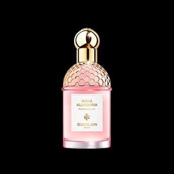 אקווה אלגוריה פלורה בלום א.ד.ט