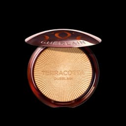 פודרה שימר טרקוטה