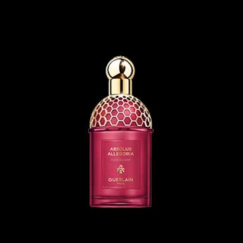 אבסולוט אלגוריה פלורה בלום א.ד.פ