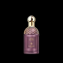 אבסולוט אלגוריה טבק סהרה א.ד.פ