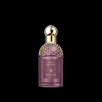 אבסולוט אלגוריה טבק סהרה א.ד.פ