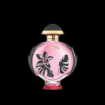 אולימפיה פלורה א.ד.פ