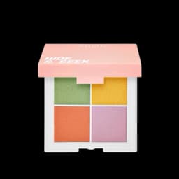 פלטת 4 צבעים לתיקון פגמים