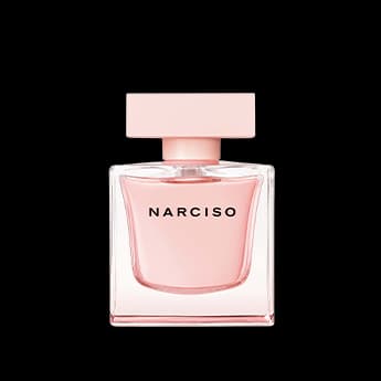 נרסיסו קריסטל א.ד.פ