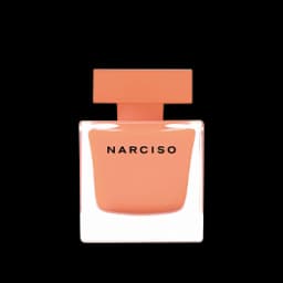 נרסיסו אמברה א.ד.פ