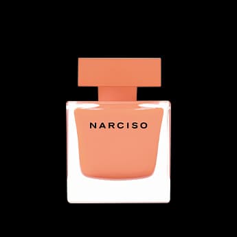 נרסיסו אמברה א.ד.פ