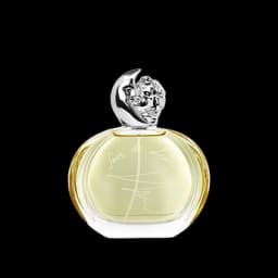 סואר דה לון א.ד.פ