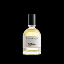 סילאג' א.ד.פ