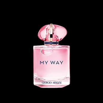 מיי וואי נקטר א.ד.פ