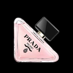 פרדוקס וירטואל פלאוור א.ד.פ