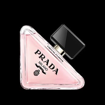 פרדוקס וירטואל פלאוור א.ד.פ