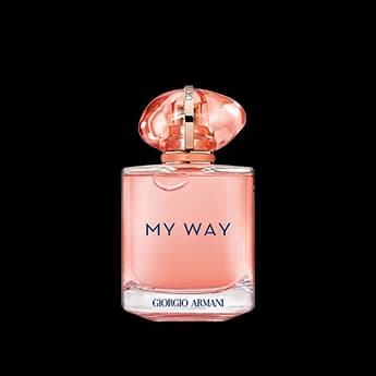 מיי וואי ילנג א.ד.פ