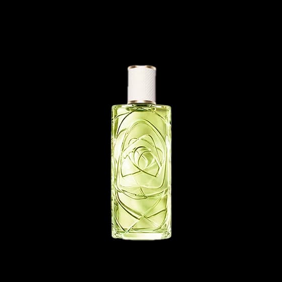 אוף נאו א.ד.ט