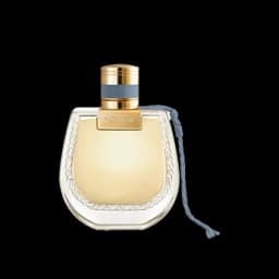 נומאד לומייאר א.ד.פ