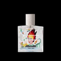 לוסט אין טרנסליישן א.ד.פ