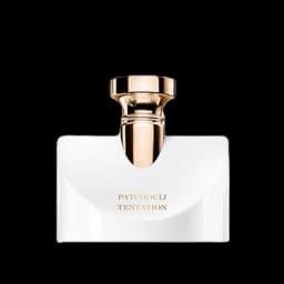 ספלנדידה פאצ'ולי טנטישיין א.ד.פ