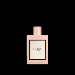 גוצ'י בלום א.ד.פ