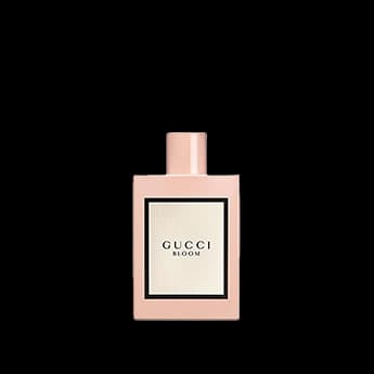 גוצ'י בלום א.ד.פ