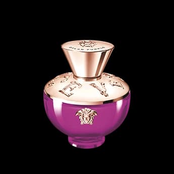 דילן פרפל א.ד.פ