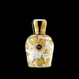 רג'ינה יוני א.ד.פ