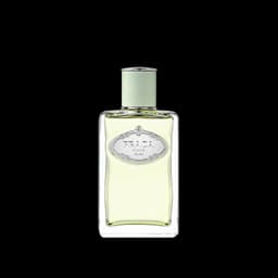 אינפיוז'ן איריס א.ד.פ