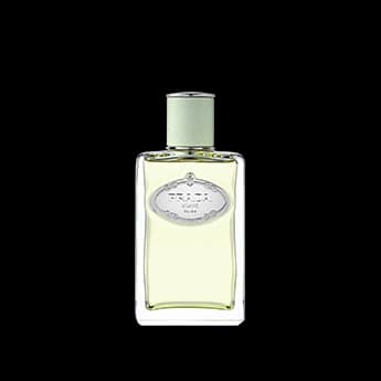 אינפיוז'ן איריס א.ד.פ