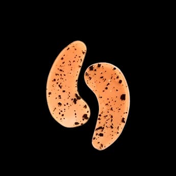 רטיות עיניים