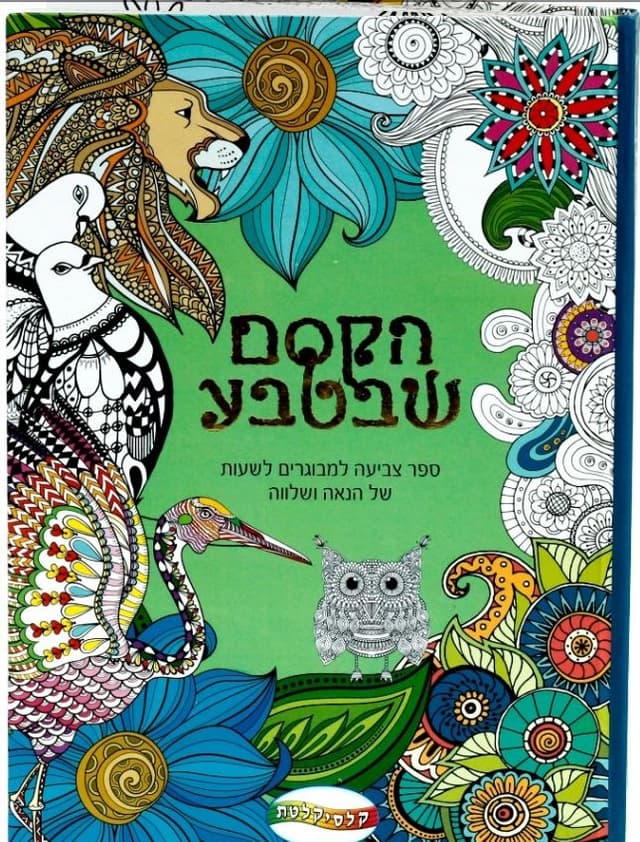 ספר צביעה למבוגרים ג