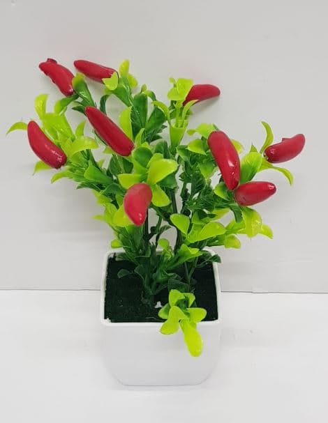 עציץ פלפלים אדומים 20 סמ קונים רק באטרקציה מהיבואן לצרכן