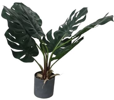 עציץ מלאכותי דקורטיבי כ-45 ס"מ באתר אטרקציה מהיבואן לצרכן