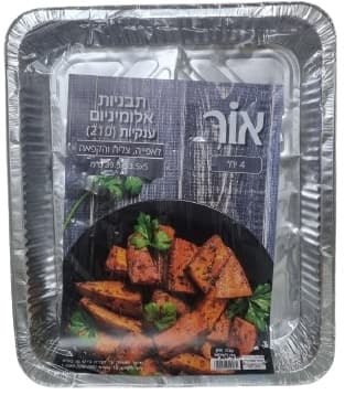 תבנית 210 אור 4 יחי' R99