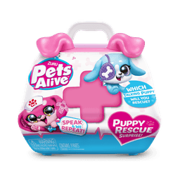 ריינבוקורן פטס