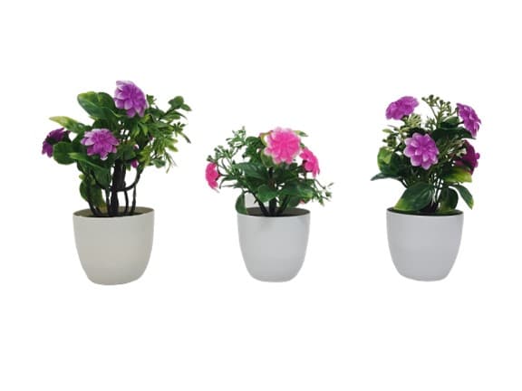 עציץ פרחים מרובע/ עגול במגוון צבעים 20 סמבאתר אטרקציה אונליין