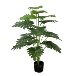 עציץ דקורטיבי כ- 100 ס"מ קונים רק באטרקציה מהיבואן לצרכן