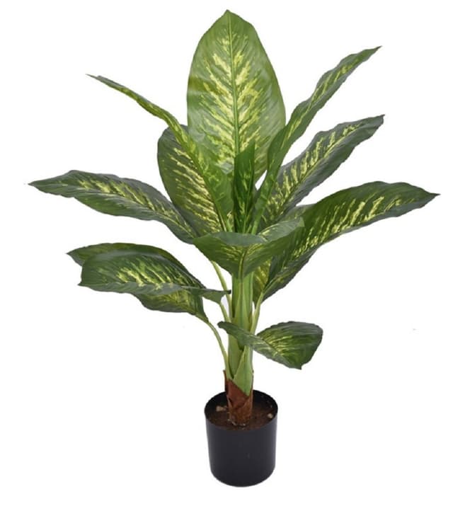 עציץ מלאכותי עלים רחבים דקורטיבי כ-120 ס"מ באתר אטרקציה