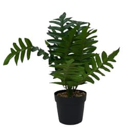 עציץ מלאכותי עלים רחבים דקורטיבי כ-120 ס"מ באתר אטרקציה