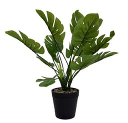 עציץ מלאכותי עלים רחבים דקורטיבי כ-120 ס"מ באתר אטרקציה