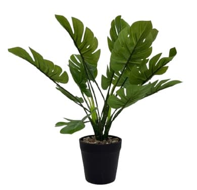 עציץ מלאכותי עלים רחבים דקורטיבי כ-120 ס"מ באתר אטרקציה