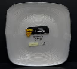 חבילה 10 צלחות חד פעמי יוקרתי -מנה עיקרית פנינה עם פס כסף קונים רק באטרקציה מהיבואן לצרכן