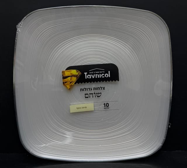 חבילה 10 צלחות חד פעמי יוקרתי -מנה עיקרית פנינה עם פס כסף קונים רק באטרקציה מהיבואן לצרכן