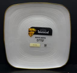 חבילה 10 צלחות חד פעמי יוקרתי - מנה עיקרית פנינה עם פס זהב קונים רק באטרקציה מהיבואן לצרכן