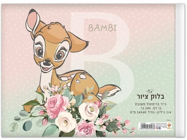 בלוק ציור רבע גיליון