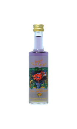 מיני וודקה ואן גוך אסאי 50 מ"ל | בנא משקאות